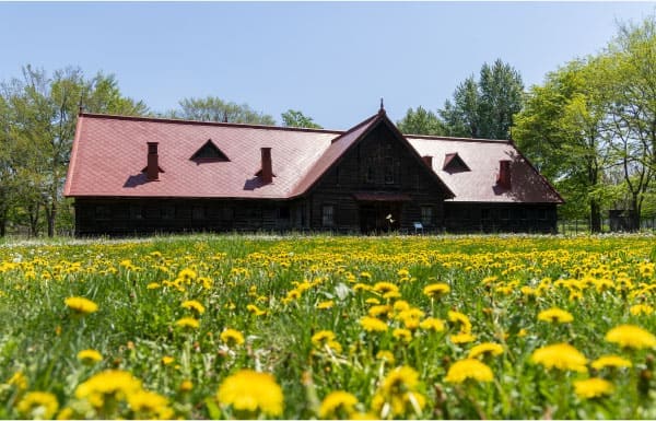 A campus surrounded by abundant nature
