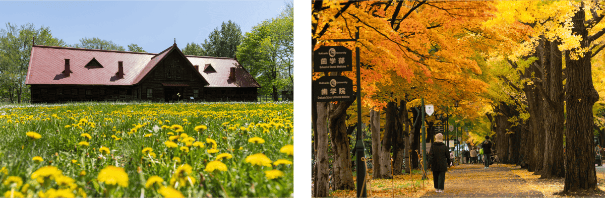 A campus surrounded by abundant nature