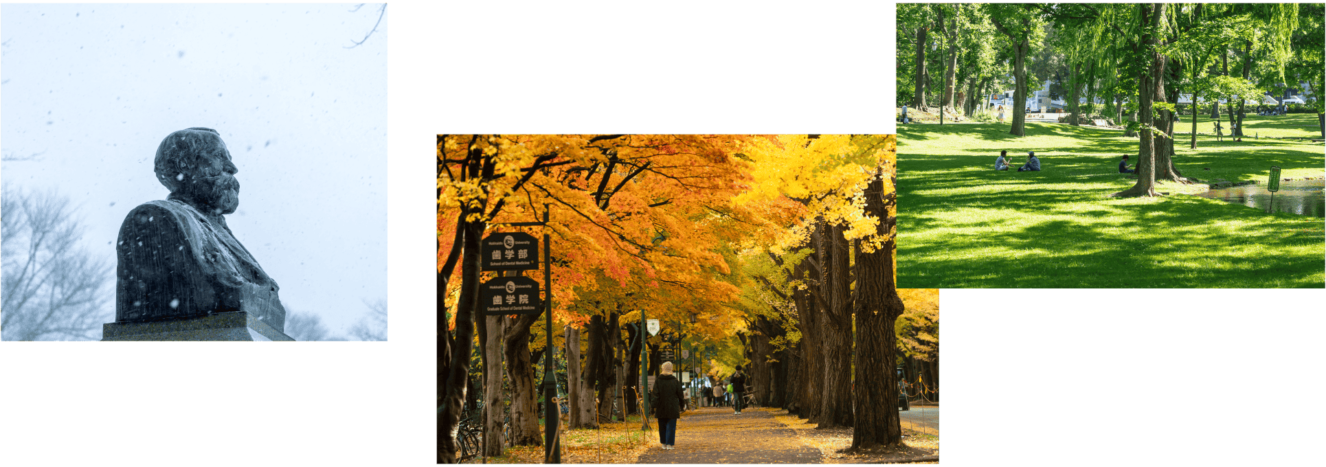 The appeal of Hokkaido University