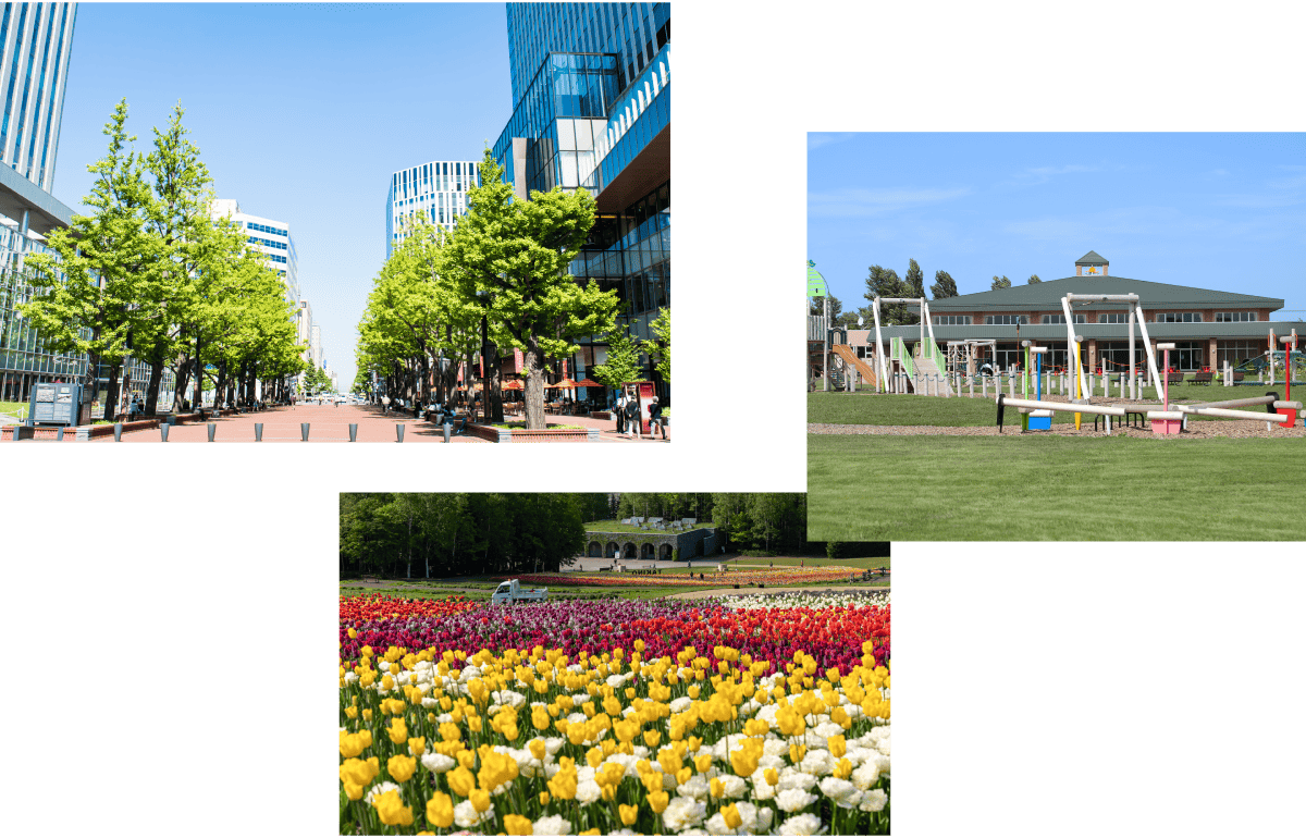 The charm of Sapporo, Hokkaido